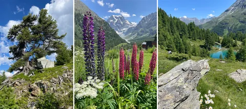 Impressionen von Wanderungen